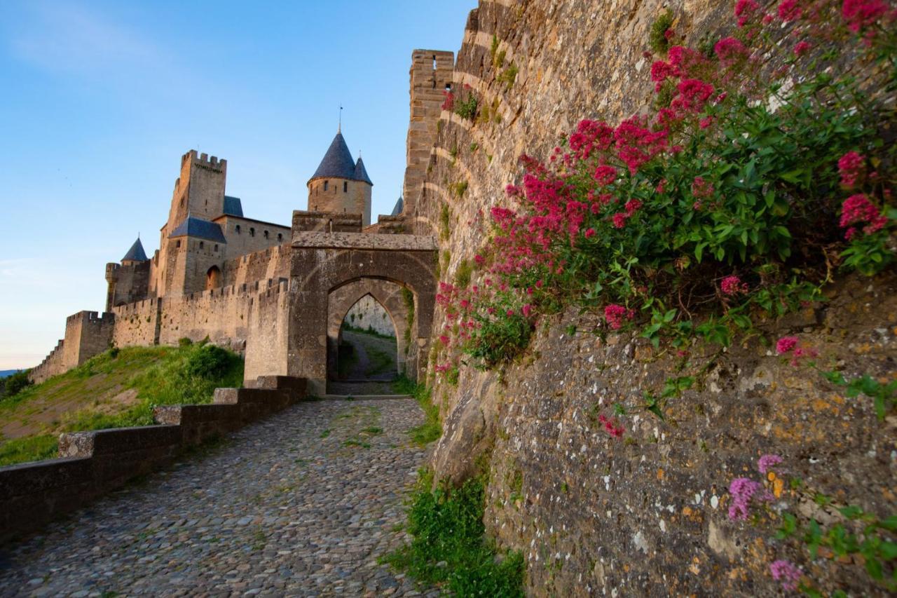 Tout Confort ! Calme, Climatisation, Vue Degagee, Ville ,Parking Gratuit, Ascenseur, Wifi Carcassonne Exterior foto